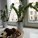 Amber Guest Hotel Cracovie