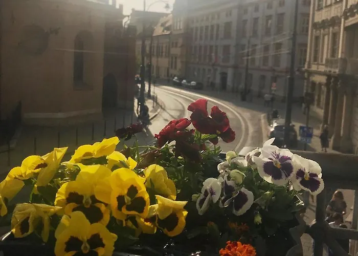 Hotel Amber Guest 2*